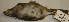  ( - CNAV024529)  @13 [ ] Unspecified (default): All Rights Reserved  Unspecified Unspecified