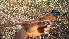  ( - NHMO-36298)  @12 [ ] Unspecified (default): All Rights Reserved  Unspecified Unspecified