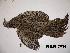  (Phasianus - NHMO-BC402)  @14 [ ] Unspecified (default): All Rights Reserved  Unspecified Unspecified