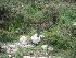  ( - NHMO-BC348)  @12 [ ] Unspecified (default): All Rights Reserved  Unspecified Unspecified