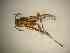 ( - BONVB-0213)  @12 [ ] Unspecified (default): All Rights Reserved  Unspecified Unspecified