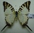  ( - UMKL-JJW0024)  @12 [ ] Unspecified (default): All Rights Reserved  Unspecified Unspecified
