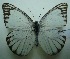  ( - UMKL-JJW0041)  @13 [ ] Unspecified (default): All Rights Reserved  Unspecified Unspecified