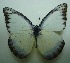  ( - UMKL-JJW0045)  @14 [ ] Unspecified (default): All Rights Reserved  Unspecified Unspecified