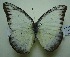  ( - UMKL-JJW0046)  @13 [ ] Unspecified (default): All Rights Reserved  Unspecified Unspecified