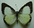 ( - UMKL-JJW0095)  @12 [ ] Unspecified (default): All Rights Reserved  Unspecified Unspecified