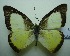  ( - UMKL-JJW0109)  @13 [ ] Unspecified (default): All Rights Reserved  Unspecified Unspecified
