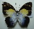  (Agatasa - UMKL-JJW0121)  @14 [ ] Unspecified (default): All Rights Reserved  Unspecified Unspecified