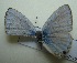  ( - UMKL-JJW0363)  @11 [ ] Unspecified (default): All Rights Reserved  Unspecified Unspecified
