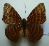  ( - UMKL-JJW0364)  @11 [ ] Unspecified (default): All Rights Reserved  Unspecified Unspecified