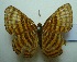  ( - UMKL-JJW0367)  @13 [ ] Unspecified (default): All Rights Reserved  Unspecified Unspecified