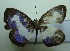  (Discolampa - UMKL-JJW0370)  @11 [ ] Unspecified (default): All Rights Reserved  Unspecified Unspecified