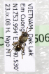  (Nomada VNMspA - CCDB-14506-D2)  @12 [ ] CreativeCommons - Attribution Non-Commercial Share-Alike (2012) Packer Collection York University York University