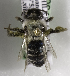  (Reedapis - CCDB-09984 C02)  @14 [ ] Copyright (2011) Laurence Packer York University