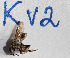  ( - CCDB-30385 D08)  @11 [ ] CreativeCommons - Attribution (2017) Laurence Packer York University