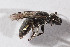  ( - CCDB-30387 E06)  @11 [ ] CreativeCommons - Attribution (2018) Laurence Packer York University