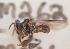  ( - CCDB-30385 F08)  @12 [ ] CreativeCommons - Attribution (2017) Laurence Packer York University