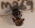  ( - CCDB-30385 G09)  @12 [ ] CreativeCommons - Attribution (2017) Laurence Packer York University