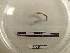  ( - DFM-0871)  @11 [ ] by-nc-sa (2021) Thibaud Decaëns Universite Montpellier, CEFE Lab