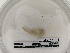  ( - DFM-0690)  @11 [ ] by-nc-sa (2021) Thibaud Decaëns Universite Montpellier, CEFE Lab