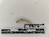 ( - DFM-0728)  @11 [ ] by-nc-sa (2021) Thibaud Decaëns Universite Montpellier, CEFE Lab