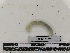  ( - DFM-0761)  @11 [ ] by-nc-sa (2021) Thibaud Decaëns Universite Montpellier, CEFE Lab