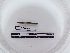  (Dendrodrilus - DFM-0633)  @11 [ ] by-nc-sa (2021) Thibaud Decaëns Universite Montpellier, CEFE Lab