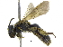  ( - 06745D08-ON)  @13 [ ] CreativeCommons - Attribution (2016) CBG Photography Group Centre for Biodiversity Genomics