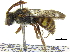  ( - 06745H01-WA)  @13 [ ] CreativeCommons - Attribution (2016) CBG Photography Group Centre for Biodiversity Genomics