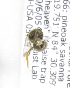  ( - 04791B08-FL)  @11 [ ] CreativeCommons - Attribution Non-Commercial Share-Alike (2010) Unspecified York University