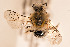  ( - CCDB-34684 A11)  @11 [ ] CreativeCommons - Attribution by Laurence Packer (2017) Laurence Packer York University