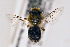  ( - CCDB-34684 B02)  @11 [ ] CreativeCommons - Attribution by Laurence Packer (2017) Laurence Packer York University