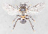  ( - CCDB-30386 B10)  @14 [ ] CreativeCommons - Attribution (2017) Laurence Packer York University