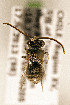  ( - CCDB-34684 C05)  @11 [ ] CreativeCommons - Attribution by Laurence Packer (2017) Laurence Packer York University