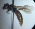  ( - CCDB-34569 D11)  @11 [ ] CreativeCommons - Attribution by Laurence Packer (2017) Laurence Packer York University