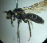  ( - CCDB-34569 G10)  @11 [ ] CreativeCommons - Attribution by Laurence Packer (2017) Laurence Packer York University
