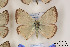  ( - Agro-004)  @12 [ ] Copyright (2011) University of Florida, FMNH - McGuire Center University of Florida, FMNH - McGuire Center