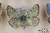  ( - Agro-201)  @13 [ ] Copyright (2011) University of Florida, FMNH - McGuire Center University of Florida, FMNH - McGuire Center
