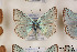  ( - Agro-214)  @12 [ ] Copyright (2011) University of Florida, FMNH - McGuire Center University of Florida, FMNH - McGuire Center