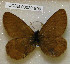  ( - CCDB-03029 B09)  @11 [ ] Copyright (2012) Zoological Institute of the Russian Academy of Science Zoological Institute of the Russian Academy of Science
