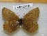  ( - CCDB-03029 B10)  @11 [ ] Copyright (2012) Zoological Institute of the Russian Academy of Science Zoological Institute of the Russian Academy of Science