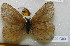  ( - CCDB-03029 C03)  @11 [ ] Copyright (2012) Zoological Institute of the Russian Academy of Science Zoological Institute of the Russian Academy of Science