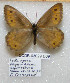 ( - CCDB-03029 D09)  @12 [ ] Copyright (2012) Zoological Institute of the Russian Academy of Science Zoological Institute of the Russian Academy of Science