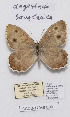  ( - CCDB-17948 E03)  @13 [ ] Copyright (2013) Zoological Institute of the Russian Academy of Science Zoological Institute of the Russian Academy of Science