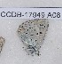  ( - CCDB-17949 A08)  @12 [ ] Copyright (2013) Zoological Institute of the Russian Academy of Science Institute of animal systematics and ecology, Novosibirsk