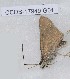  ( - CCDB-17949 G01)  @12 [ ] Copyright (2013) Zoological Institute of the Russian Academy of Science Zoological Institute of the Russian Academy of Science