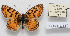  ( - CCDB-17951 F01)  @13 [ ] Copyright (2014) McGuire Center, University of Florida McGuire Center, University of Florida
