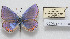 ( - CCDB-17951 G08)  @11 [ ] Copyright (2014) McGuire Center, University of Florida McGuire Center, University of Florida