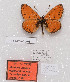 ( - CCDB-17966 A01)  @12 [ ] Copyright (2014) McGuire Center, University of Florida McGuire Center, University of Florida