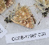  ( - CCDB-17967 C03)  @12 [ ] Copyright (2014) Zoological Institute of the Russian Academy of Science Zoological Institute of the Russian Academy of Science